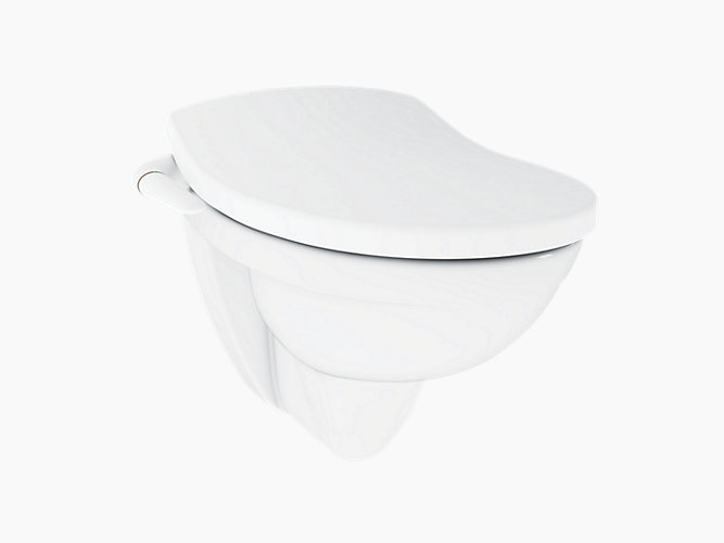 Kohler - Patio  Wall Hung With Pureclean Bidet Seat